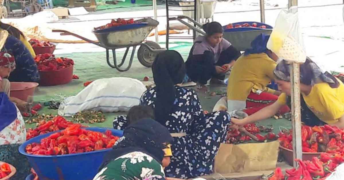 Şanlıurfalıların 'Acı' serüveni başladı 1 Şanlıurfalıların 'Acı' serüveni başladı