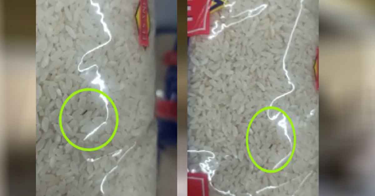 Şanlıurfa'da market zincirinde ürünler böceklendi