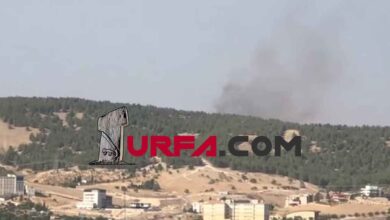 Urfa'da Orman yangını