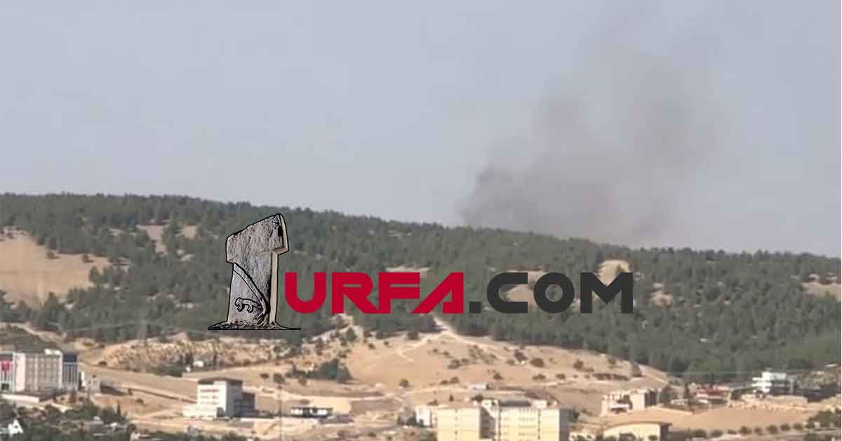 Urfa'da Orman yangını