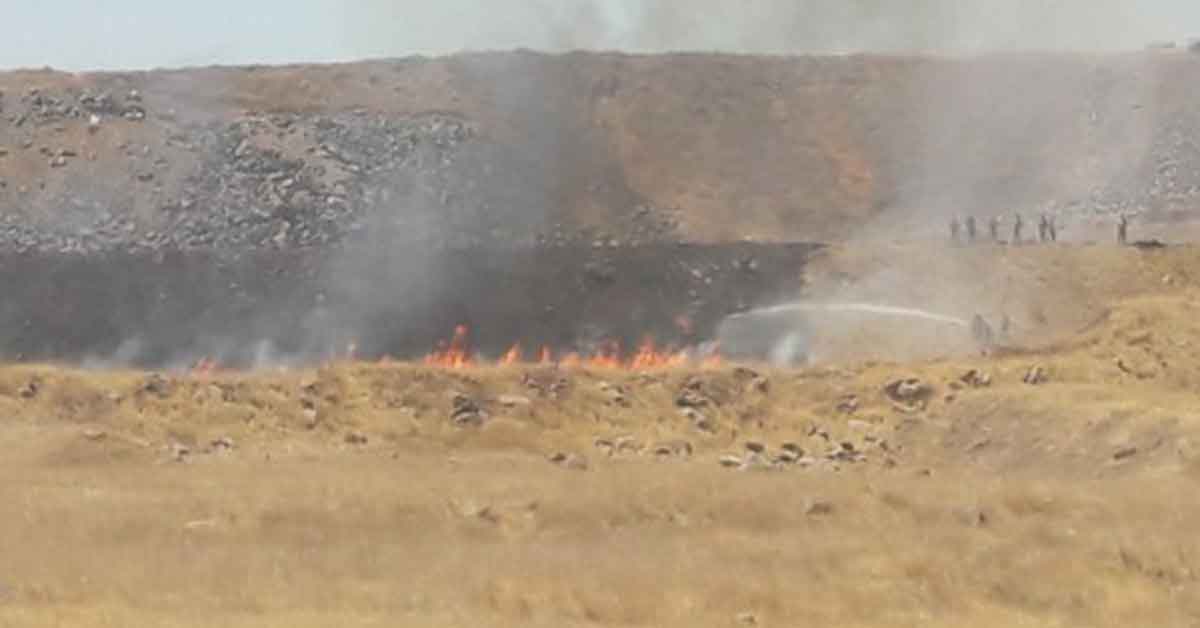 Urfa'da Askeri Alanda Yangın! Jandarma Seferber Oldu 1 yangn urfa
