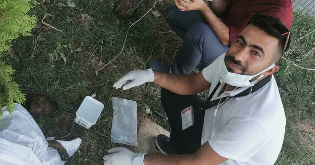 Urfa'da yaralı köpeğe ilk müdahale sağlık personelinden