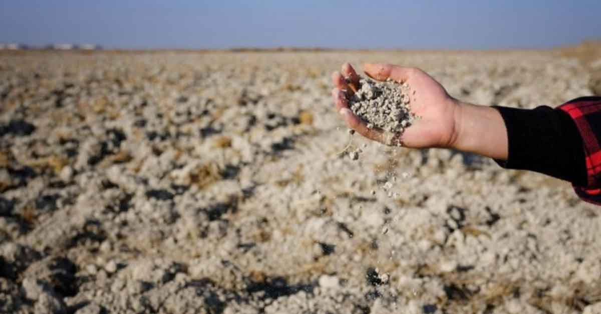 Kuraklıktan etkilenen çiftçilere destek verilecek 1 Kuraklıktan etkilenen çiftçilere destek verilecek
