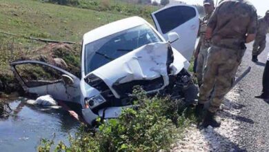 Şanlıurfa'da otomobil at arabasına çarptı: 2 yaralı