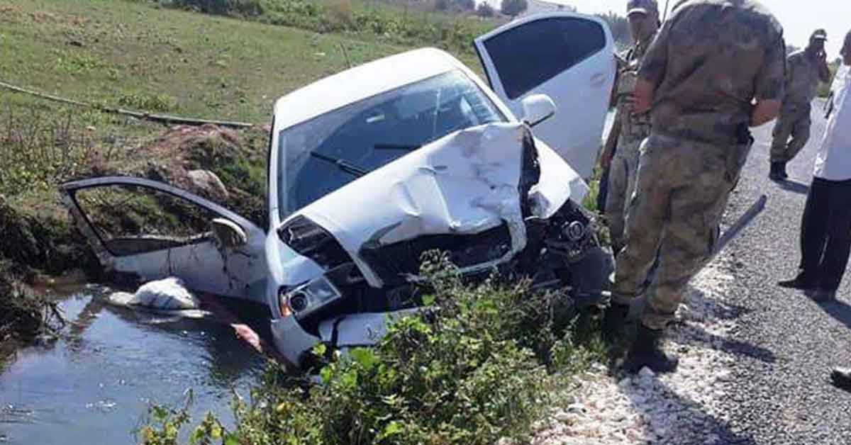 Şanlıurfa'da otomobil at arabasına çarptı: 2 yaralı