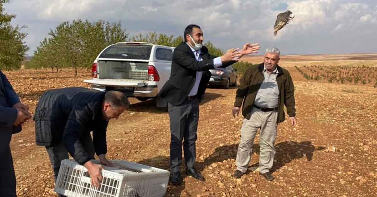Şanlıurfa'da Doğaya Keklik Salındı 1 Şanlıurfa'da Doğaya Keklik Salındı