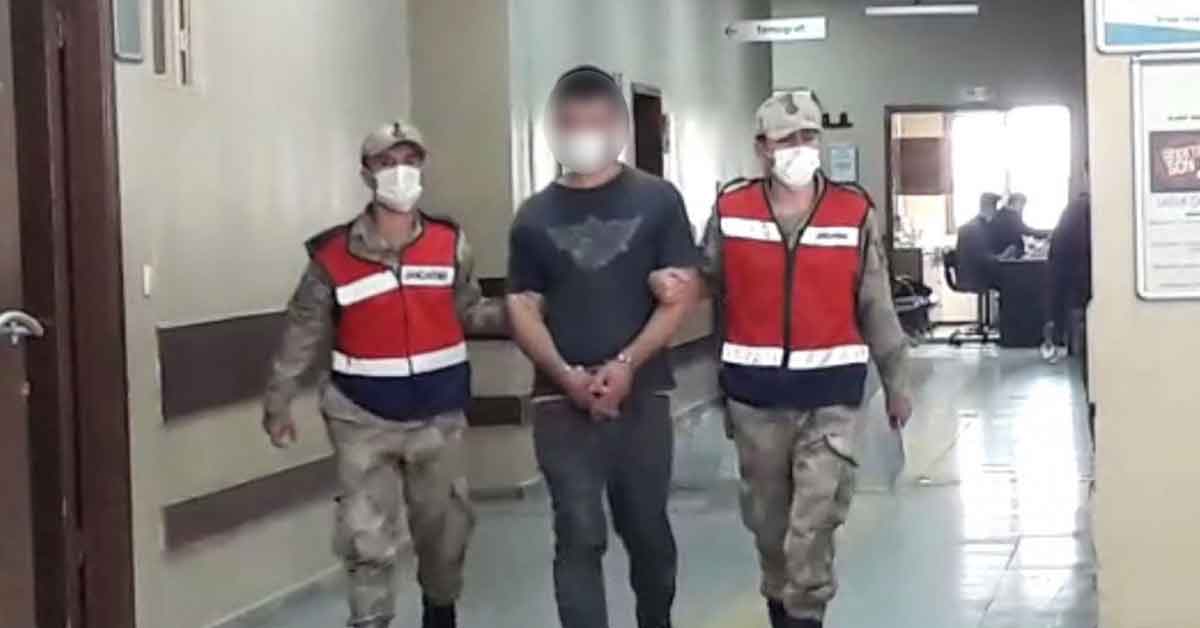 Şanlıurfa'da Tavuk Hırsızı Yakalandı