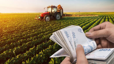 Photo of Çiftçiler Müjde! Destekleme Ödemeleri Başladı