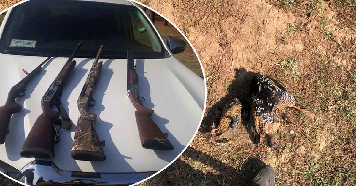 Şanlıurfa'da kaçak avcılar suçüstü yakalandı 1 Şanlıurfa'da kaçak avcılar suçüstü yakalandı