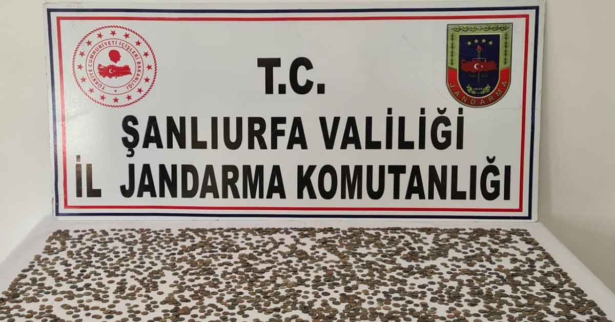 Şanlıurfa dahil 4 ilde operasyon! 14 gözaltı