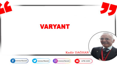 Photo of Varyant