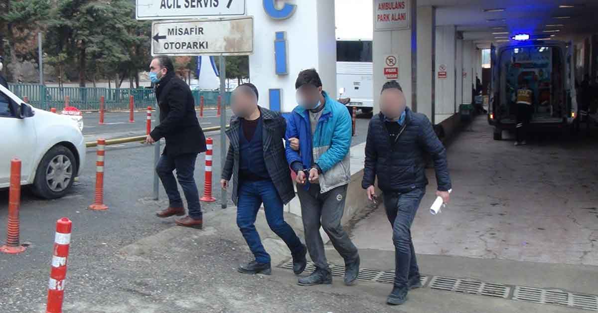Urfa'da İş yeri fareleri yakalandı