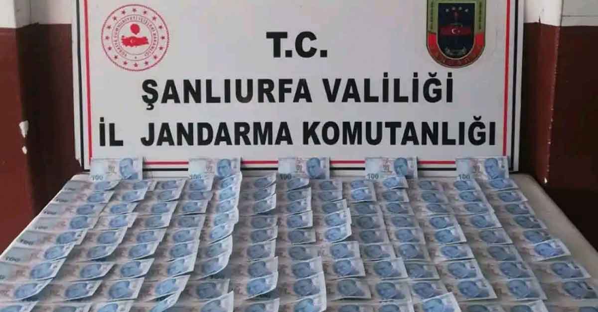 Urfa'da Sahte Para Operasyonu: 2 gözaltı