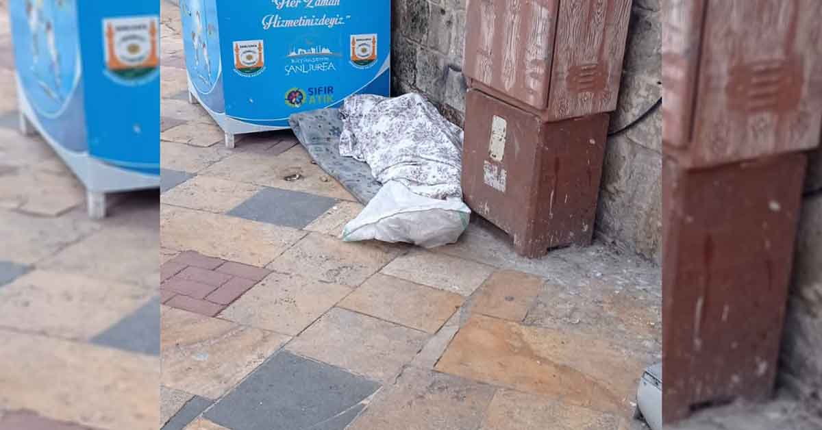 Urfa Valisi'nden yürek yakan görüntüler için talimat! 1 Urfa Valisi'nden yürek yakan görüntüler için talimat!