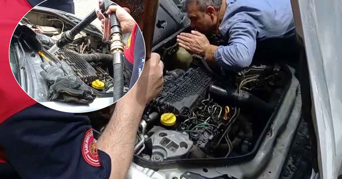 Urfa'da Motora sıkışan kedinin imdadına itfaiye yetişti! 1 Urfa'da Motora sıkışan kedinin imdadına itfaiye yetişti!