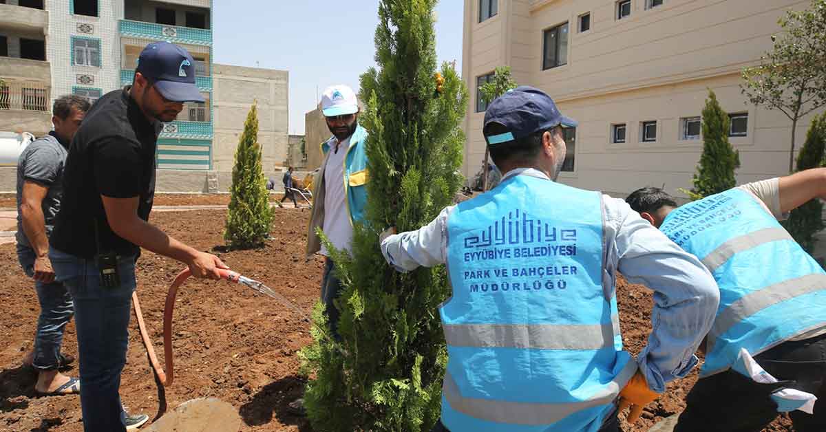 Eyyübiye’de Yeşillendirme Seferberliği Hız Kesmiyor 1 Eyyübiye’de Yeşillendirme Seferberliği Hız Kesmiyor
