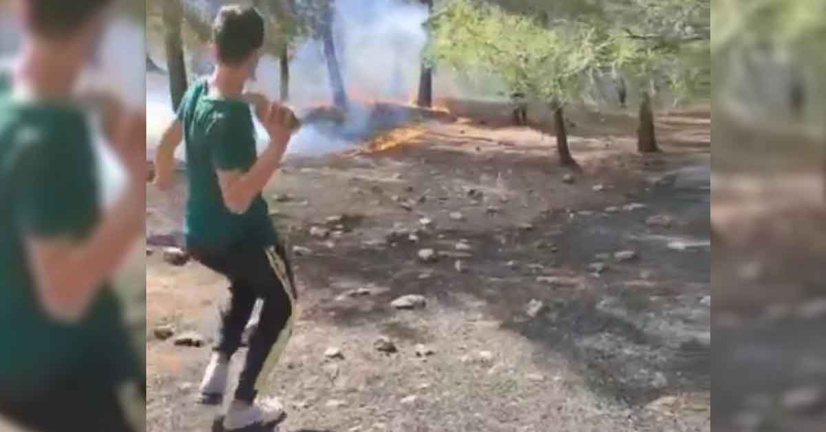 Şanlıurfa'da ormanlık alanda yangın!