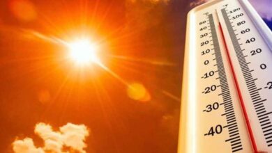 Şanlıurfa'da sıcaklıklar her geçen gün artıyor!