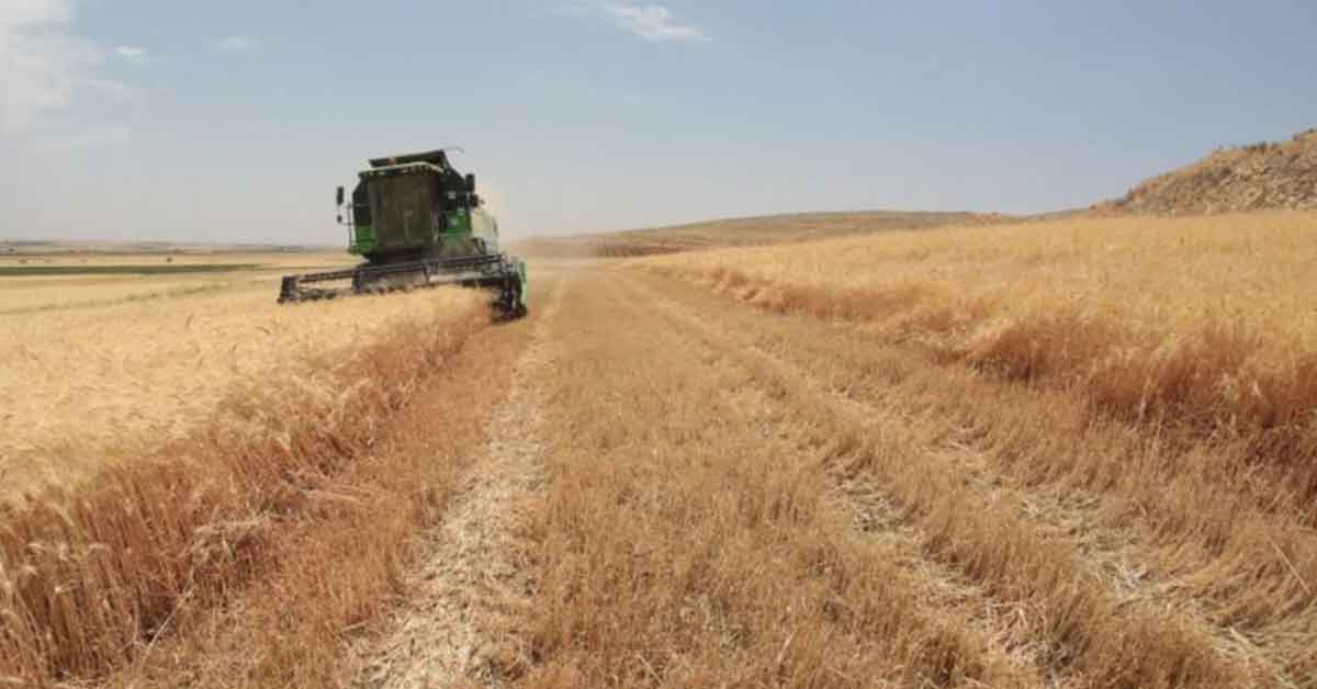 Tarımsal destek ödemeleri başladı 1 Tarımsal destek ödemeleri başladı