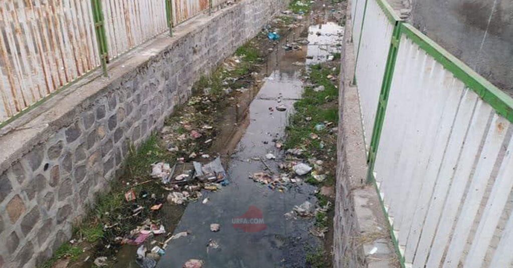 Antep Deresi Hastalık Saçıyor Ceylanpınar Seyrediyor 1 ceylanpinar
