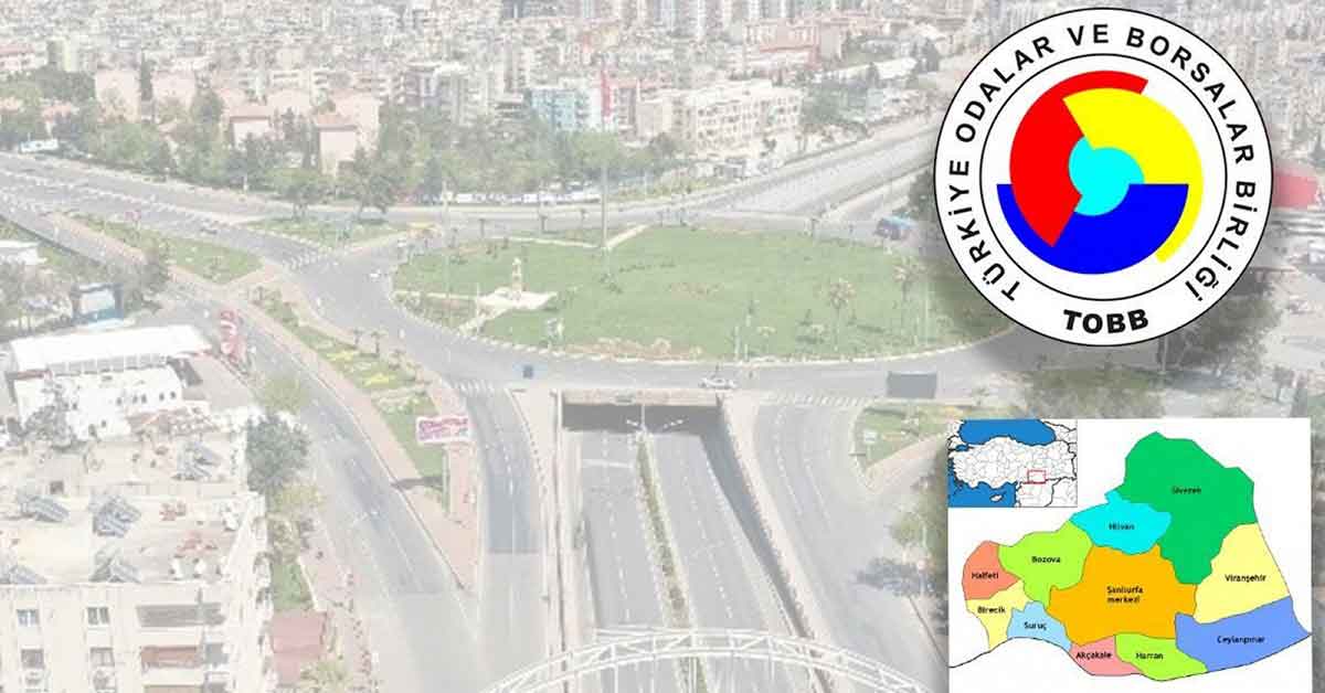 Urfa’da haziranda kurulan şirket sayısı belli oldu