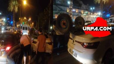 Şanlıurfa'da At Arabasıyla trafik kazası