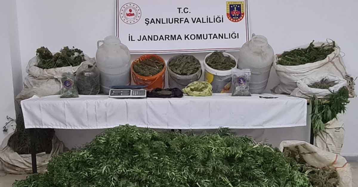 Viranşehir’de jandarmadan uyuşturucu operasyonu
