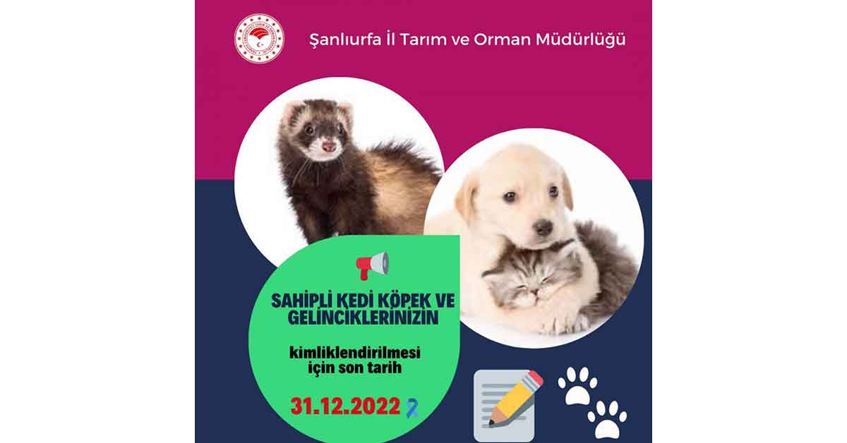 Evcil hayvan sahipleri dikkat: Son tarih 31 Aralık