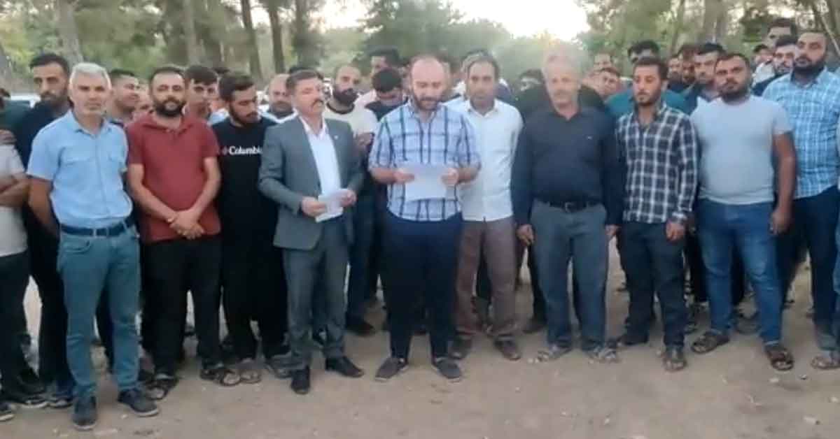 Urfalı Çiftçiler İsyanda: Pamuk 25 Lira Olmazsa Satmayacağız 1 Urfalı Çiftçiler İsyanda: Pamuk 25 Lira Olmazsa Satmayacağız