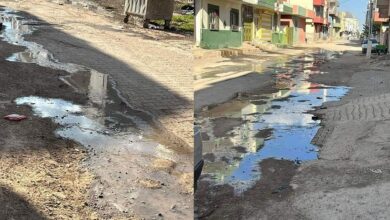 Viranşehir Sokakları Lağım Suyuyla Doldu