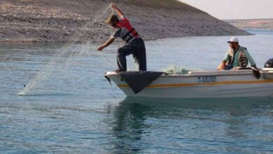 Bakan Nebati'den balıkçılara destek ödemesi açıklaması