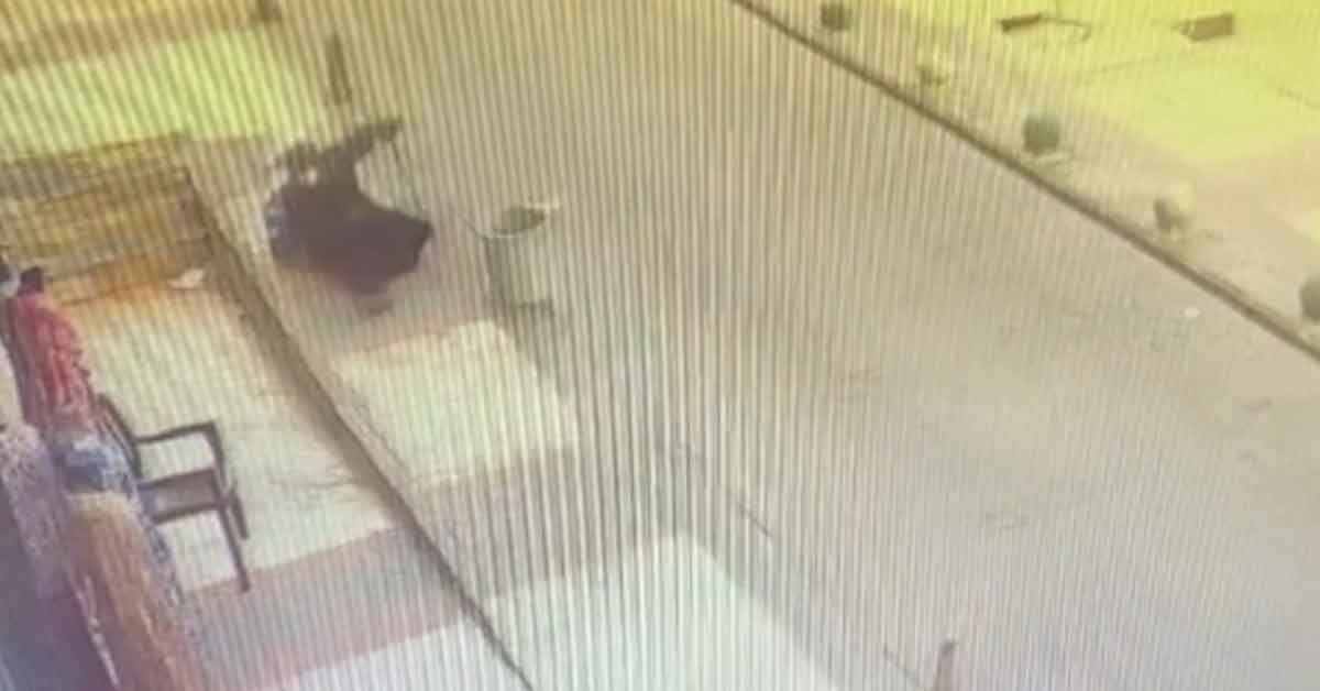 Urfa'da kaldırımda kayarak düşen kadın hastanelik oldu