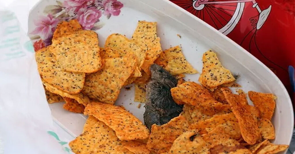 Zincir Marketten Almışlardı! Cipsin İçinden Fare Ölüsü Çıktı 1 cips