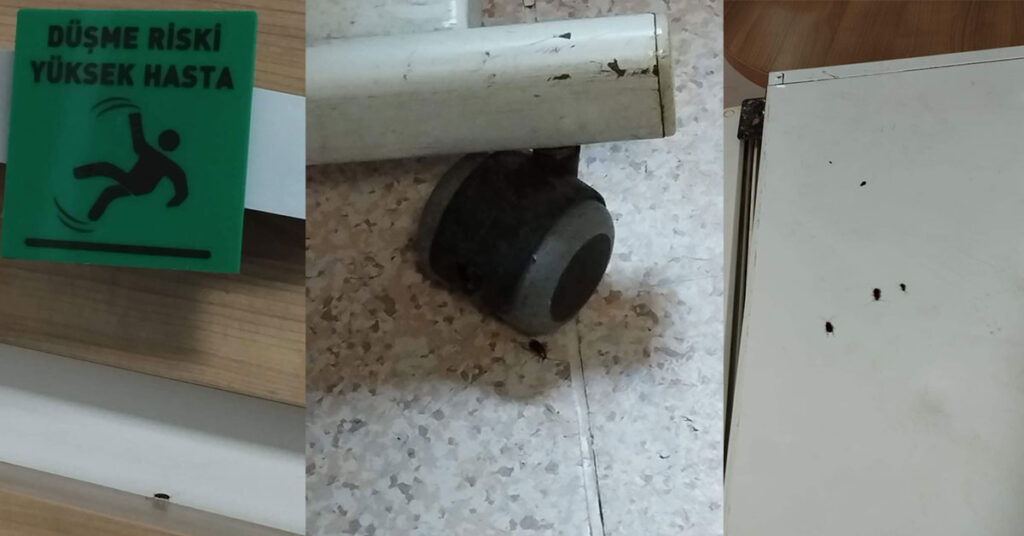 Şanlıurfa'da Hastaneyi Böcekler İstila Etti 1 hastane 2