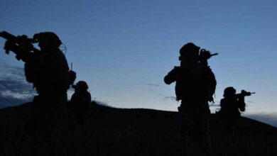 Urfa sınırında 5 terörist etkisiz hale getirildi