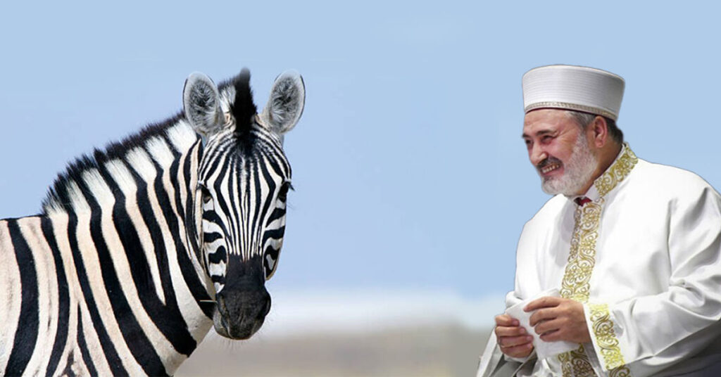 zebra 1