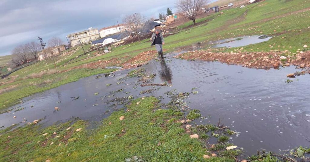 Cezaevinin Atık Suları Hayvanları Telef Etti 1 hilvan