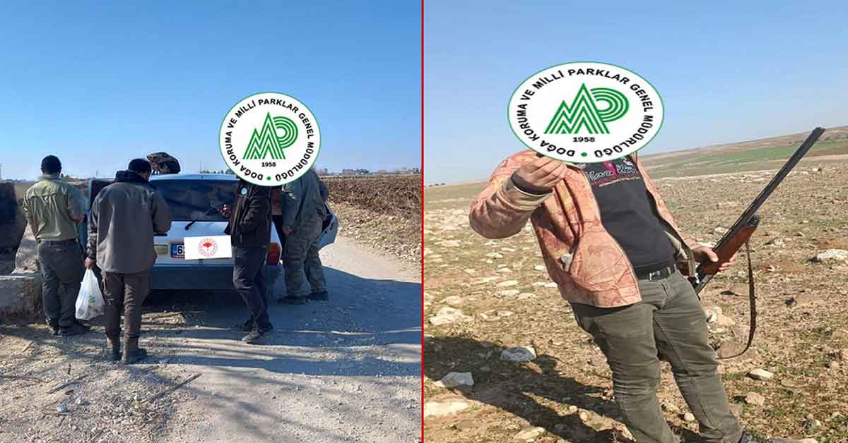 Urfa’da DKMP ekipleri, usulsüz avlanan 5 kişiye idari işlem yaptı 1 Urfa’da DKMP ekipleri, usulsüz avlanan 5 kişiye idari işlem yaptı