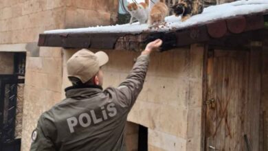 Şanlıurfa'da Polis ekipleri sokak hayvanlarını unutmadı