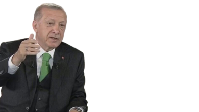 Erdoğan: Ekonomiyi iki günde yerle yeksan edecekler