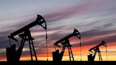 Şanlıurfa'da 4 Bölgede Petrol Arama Kararı