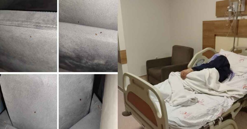Şanlıurfa'da Hastaneyi Böcekler İstila Etti