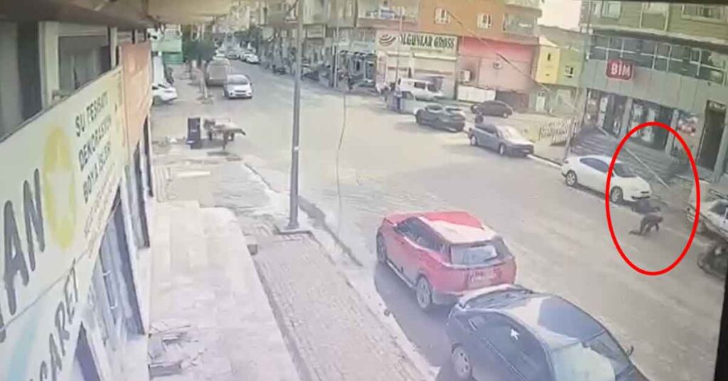 Urfa'da 3 Maskeli Saldırgan Tarafından Bıçaklandı