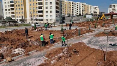Seyrantepe'de Yeşil Alan İçin Çalışmalar Sürüyor